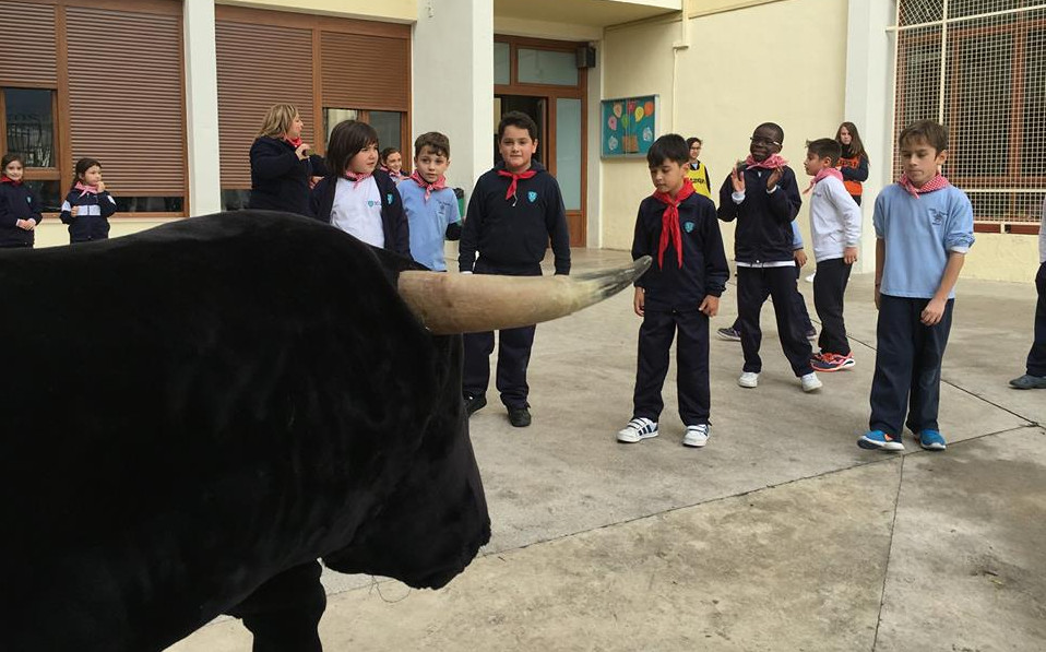 Festes de La Puríssima