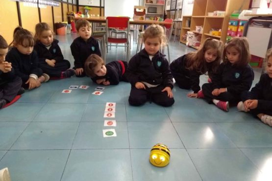 Infantil aprende con el robot Bee-bot