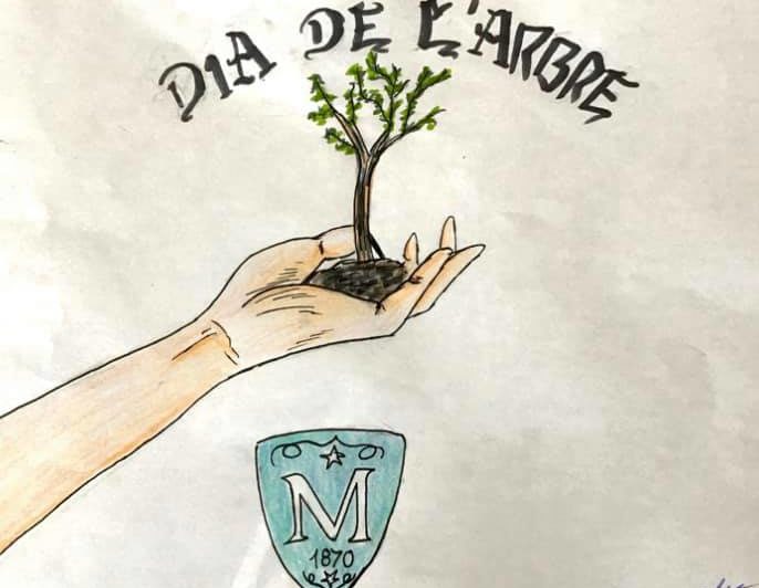 DIA DE L’ARBRE
