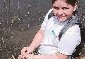 Suelta de gallipatos y triops por 4º de primaria