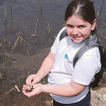 Suelta de gallipatos y triops por 4º de primaria
